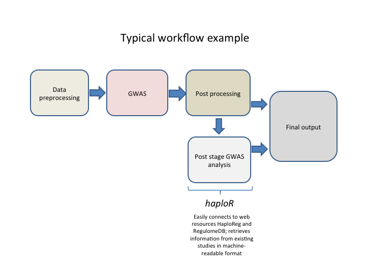 Typical analysis workflow